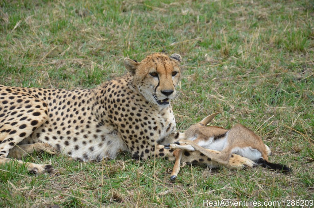 6 Days Incredible Kenya Wildlife Adventure Tour | Image #14/19 | 