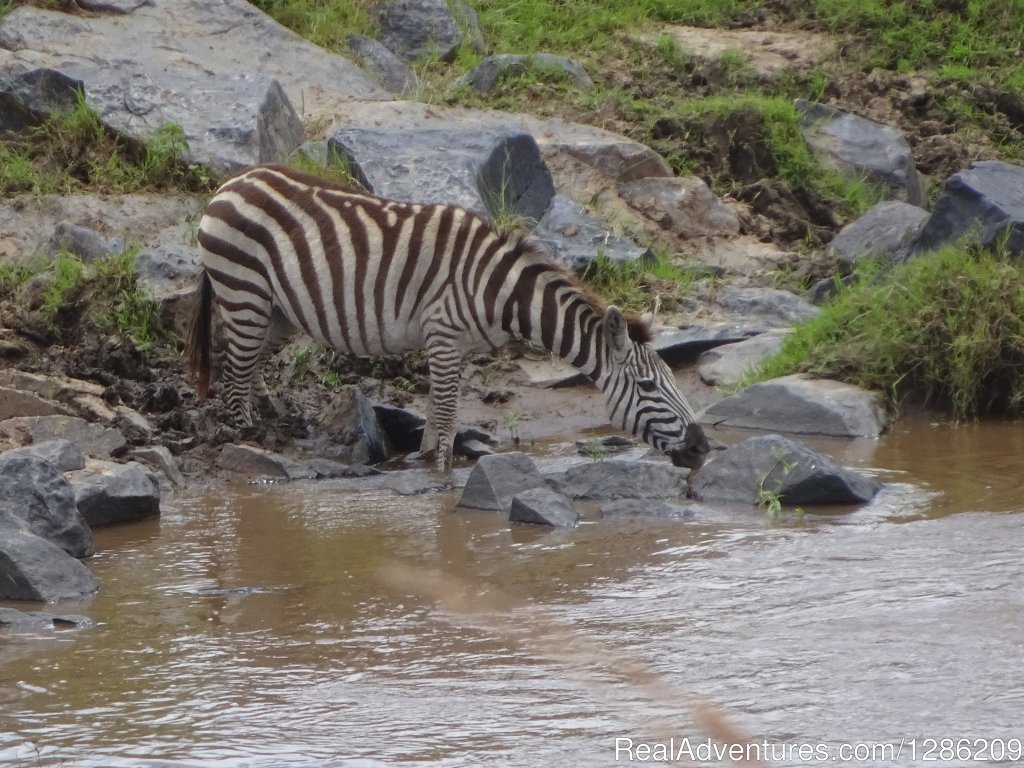 6 Days Incredible Kenya Wildlife Adventure Tour | Image #19/19 | 