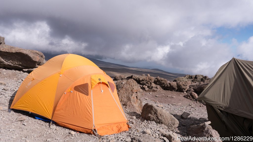 Camping | Mountain kilmanjaro lemosho Route 10 Days | Image #6/9 | 