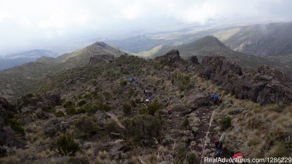 People Climb The Mountain | Mountain kilmanjaro lemosho Route 10 Days | Image #7/9 | 