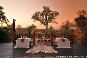 12 Days Tanzania Honeymoon Safari And Zanzibar | Kilimanjaro, Tanzania | Wildlife & Safari Tours