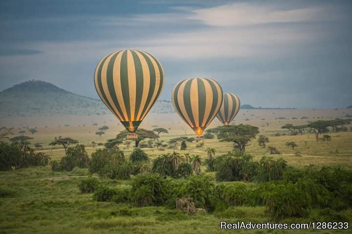 Balloon Flight | Tanzania Wildebeests Migration Safari July 2023 | Image #12/13 | 