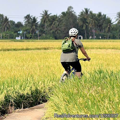 Cycling in rice farm Mekong | Easy cycling to rice farms Mekong Delta Vietnam | Ho Chi Minh Saigon, Viet Nam | Bike Tours | Image #1/4 | 
