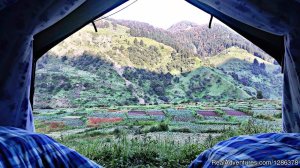 Camps | Kangra, India Bed & Breakfasts | Manali, India