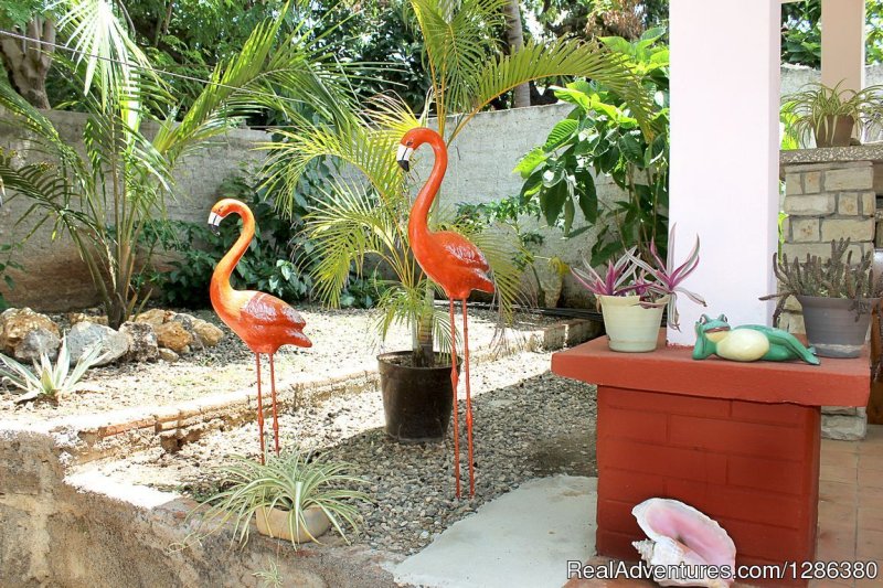 Hostal Flamingo | Image #13/15 | 