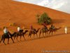 Camel Tours Morocco | Marakech, Morocco