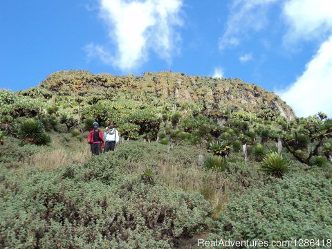 Congo Eastern Lowland-Gorilla Trekking-Mount Nyiragongo Hiki