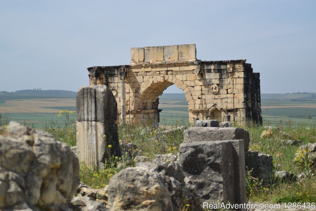 Volubilis | Berberway Moroccotours : Go deep in Morocco | Image #5/10 | 