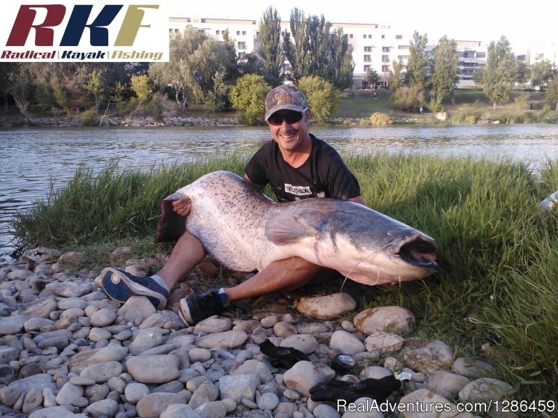 Cat Fishing From Kayak | fishing guides Ebro river Spain | Image #6/9 | 