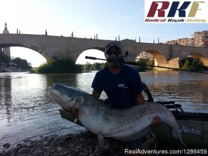 fishing guides Ebro river Spain