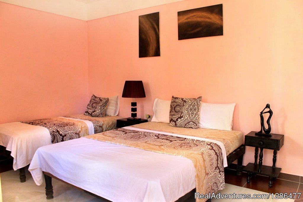 Casa Gonzalez Valle rent 2 rooms in Trinidad, Cuba | Image #14/14 | 