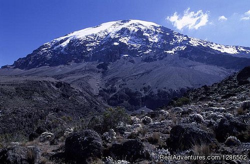 Mount Kilimanjaro | Pure Wildness Tanzania | Image #3/20 | 