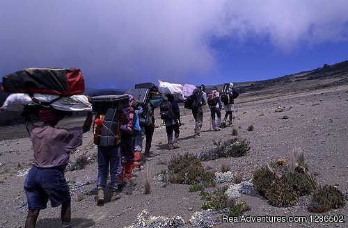 Mount Kilimanjaro Trekking | Pure Wildness Tanzania | Image #10/20 | 