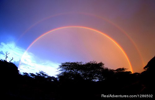 Rainbow, Serengeti National park | Pure Wildness Tanzania | Image #16/20 | 