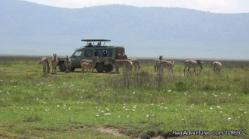 Game Viewing, Ngorongoro Crater | Pure Wildness Tanzania | Image #19/20 | 