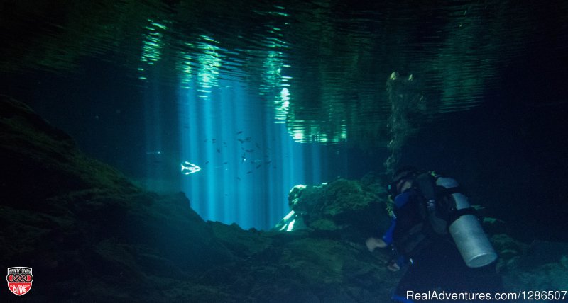 Cenote Diving Mexico | Infinity2Diving: Exciting Scuba Diving Trips in MX | Tulum, Quintana Roo, Mexico | Scuba & Snorkeling | Image #1/5 | 