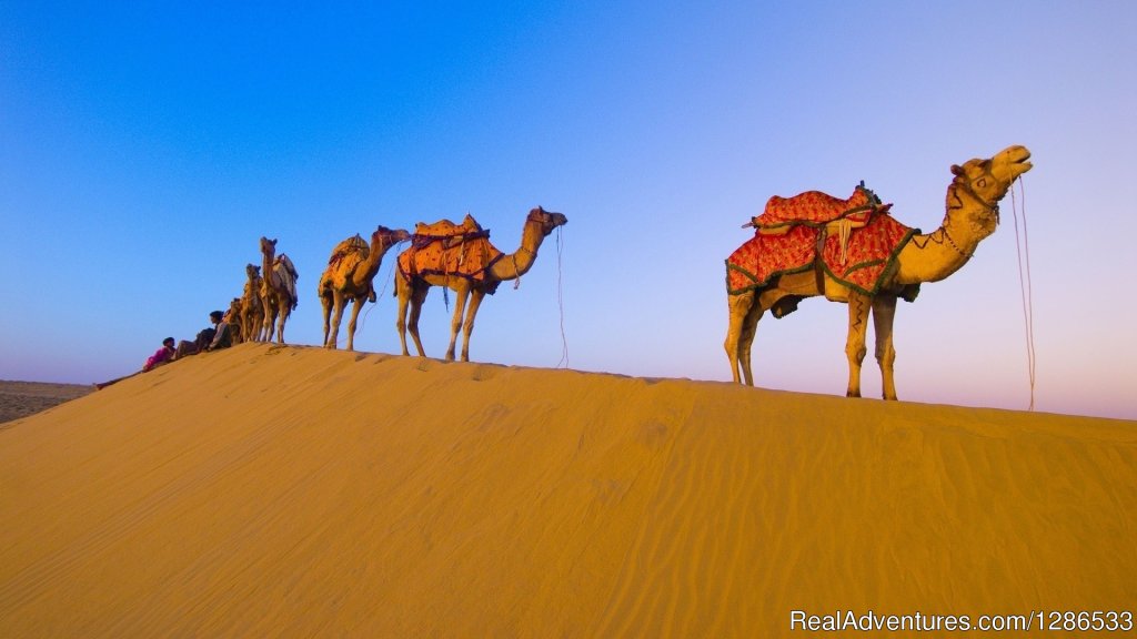 Tours in the desert and camels trekking | Tours around Morocco | Marakech, Morocco | Sight-Seeing Tours | Image #1/1 | 