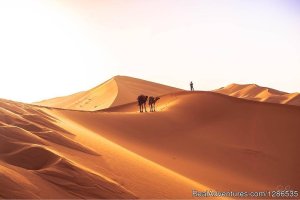 Desertbrise Travel | Zagora, Morocco