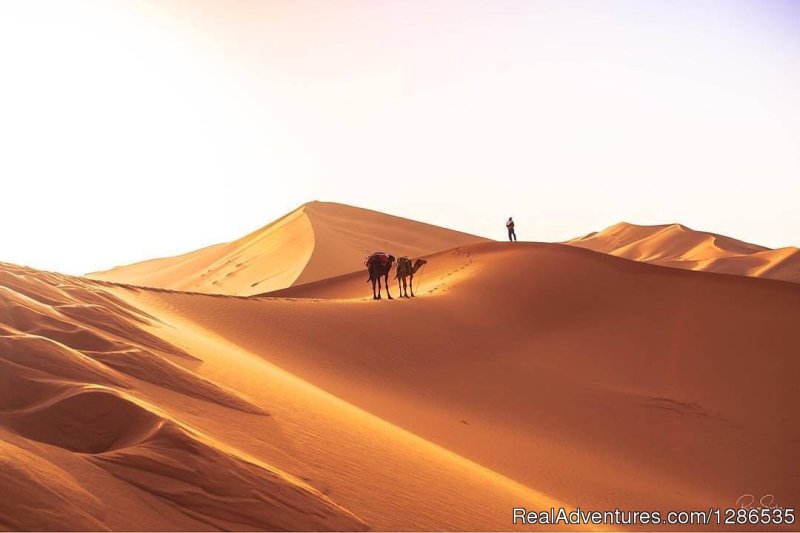 Golden Dunes | Desertbrise Travel | Zagora, Morocco | Sight-Seeing Tours | Image #1/1 | 