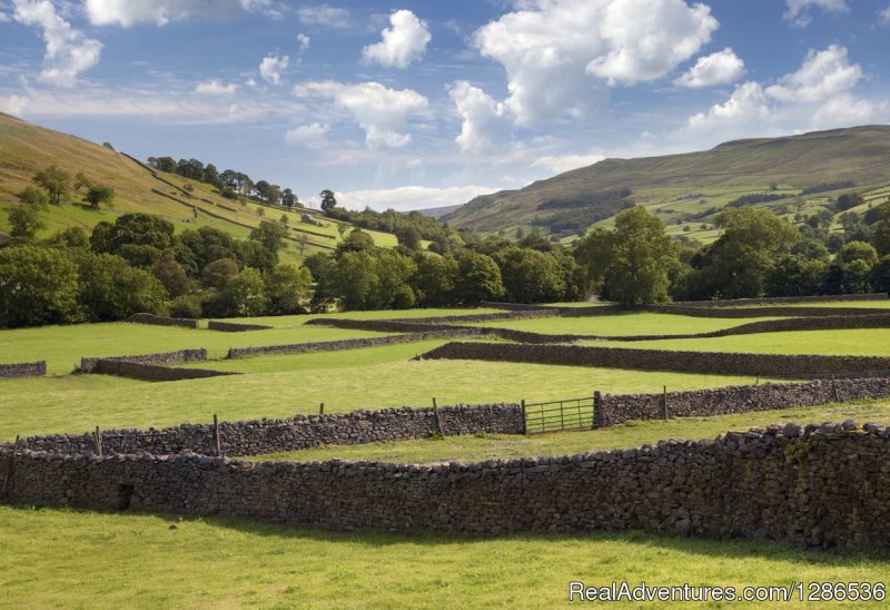 Swaledale - James Herriot Country Tour | Driver Guided Tours of Yorkshire | Image #13/24 | 