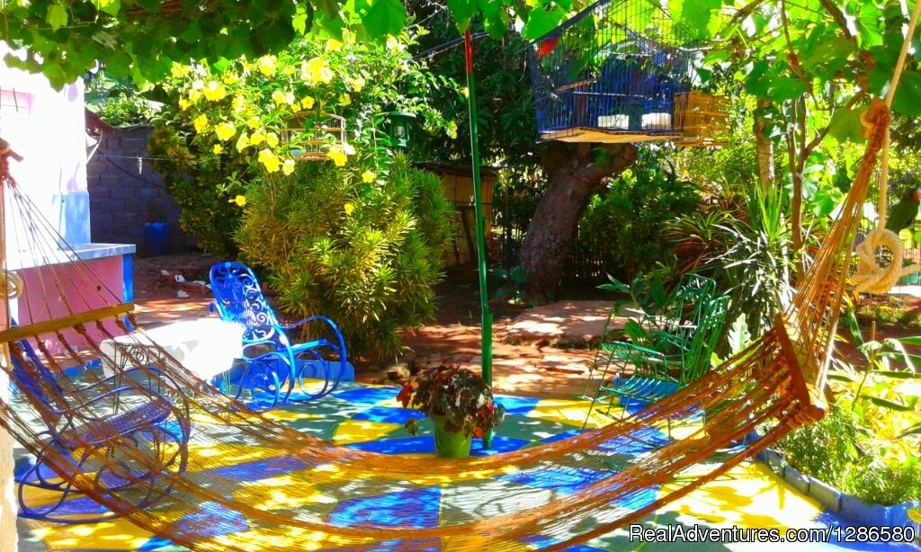 Garden | Hostal Casa Bocamar | Image #11/22 | 