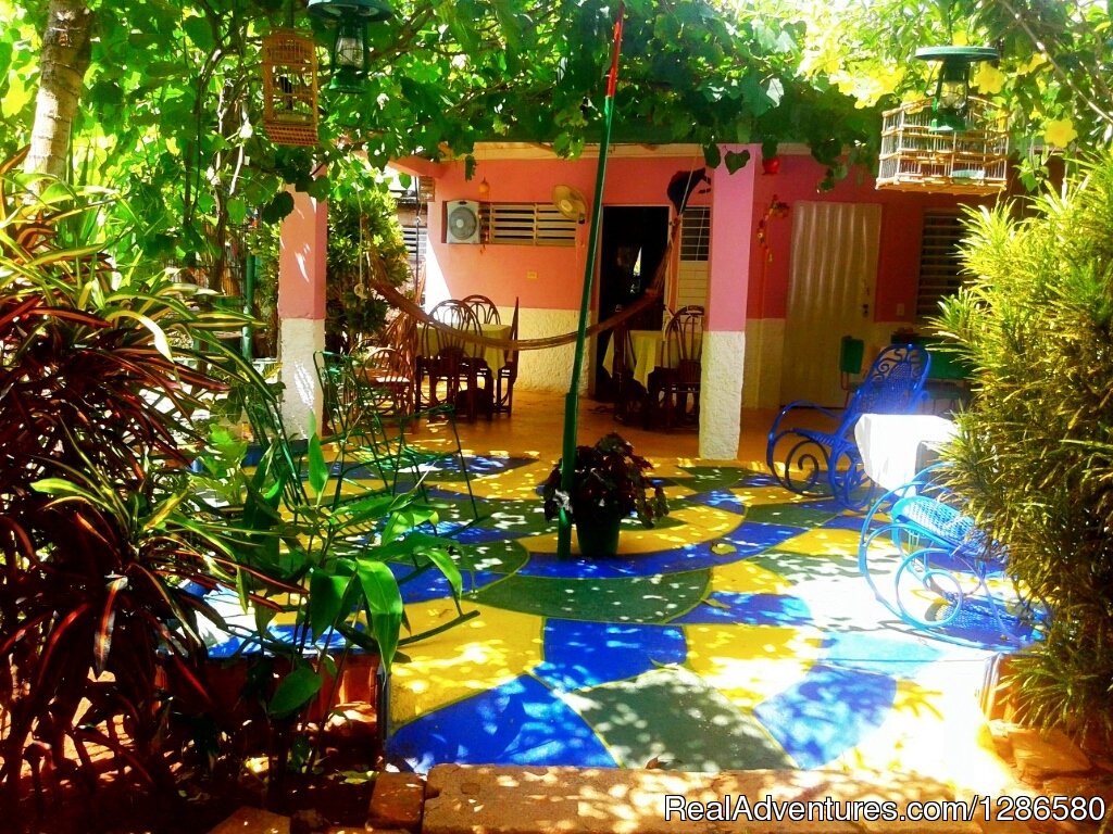 Garden | Hostal Casa Bocamar | Image #13/22 | 