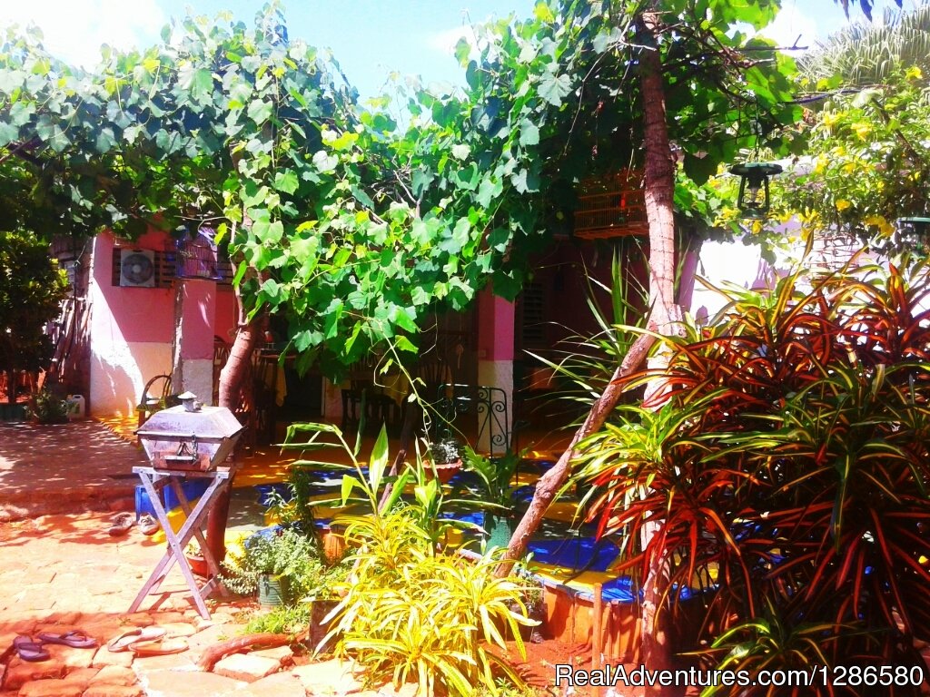 Garden | Hostal Casa Bocamar | Image #14/22 | 