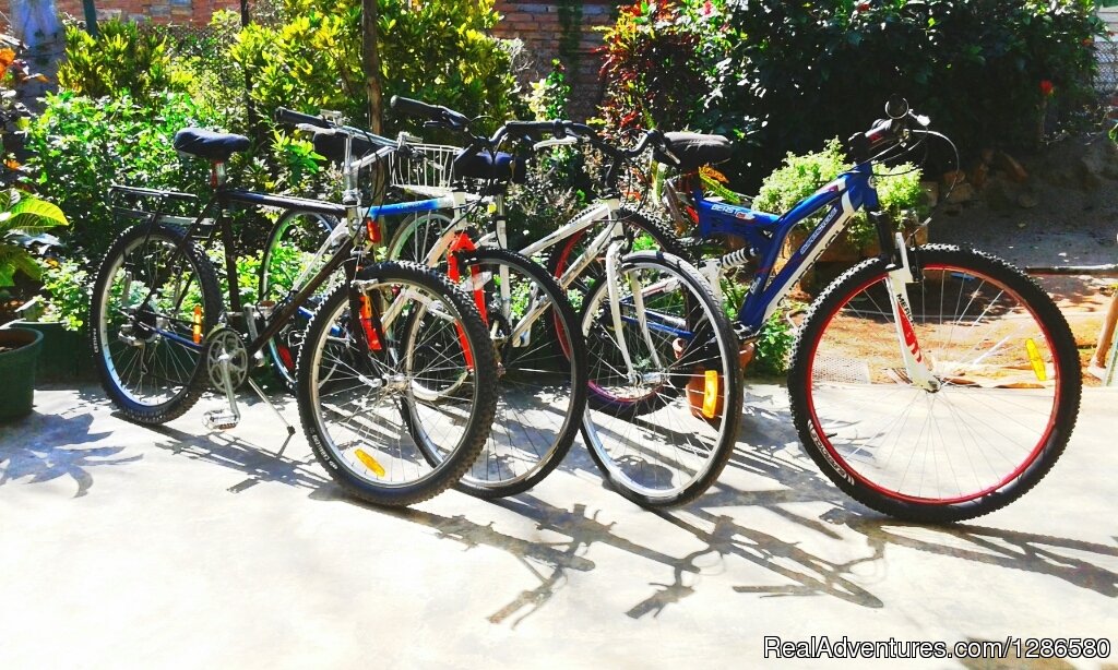 Rent of 5 bicycles | Hostal Casa Bocamar | Image #17/22 | 