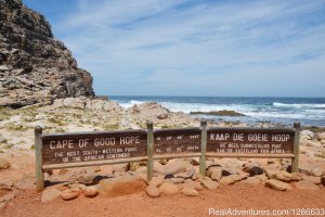 Breath-taking tour to Cape Point | Cape Town, South Africa Wildlife & Safari Tours | South Africa Nature & Wildlife