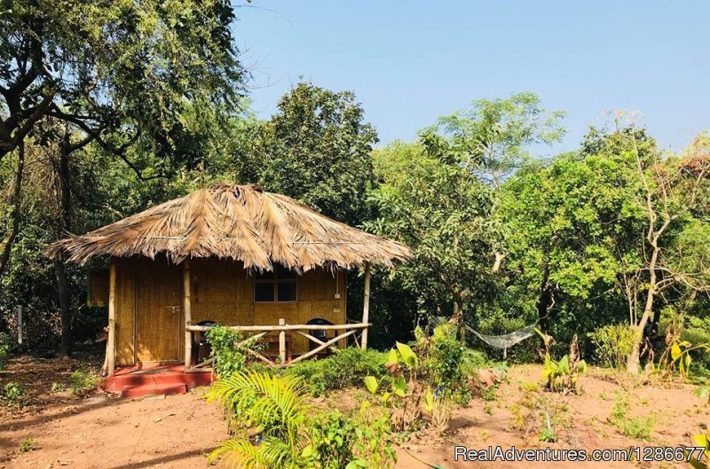 Eco hut with attached bathroom | Credo Jungle Resort Agonda / bonefire & live music | Image #7/26 | 