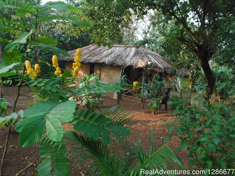 Eco hut | Credo Jungle Resort Agonda / bonefire & live music | Image #10/26 | 