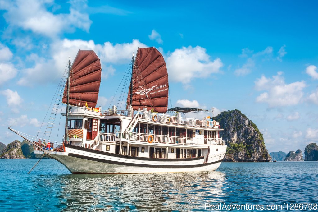 Swan boat | Discovering The World Heritage, Amazing Halong Bay | Image #11/16 | 