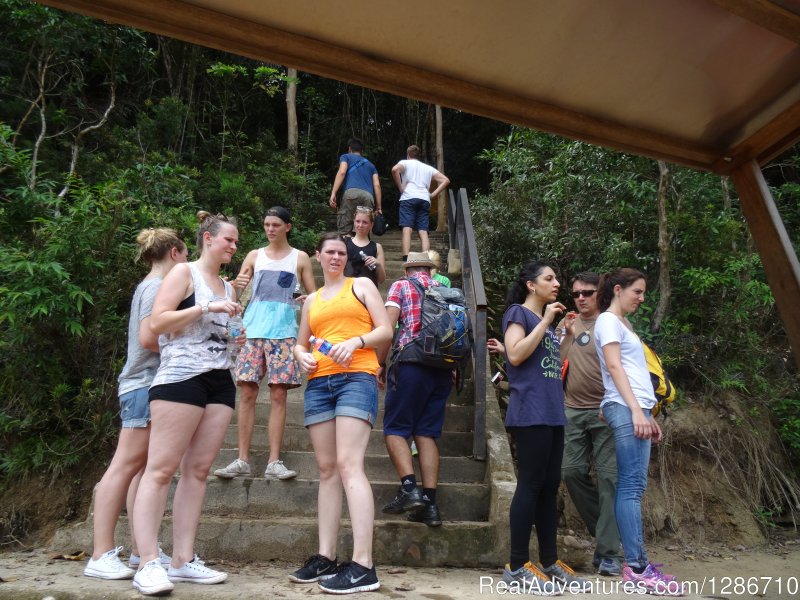 Canopy Walkway Entrance | Day Tour Rainforest Taman Negara Bonus  Batu Caves | Image #3/6 | 
