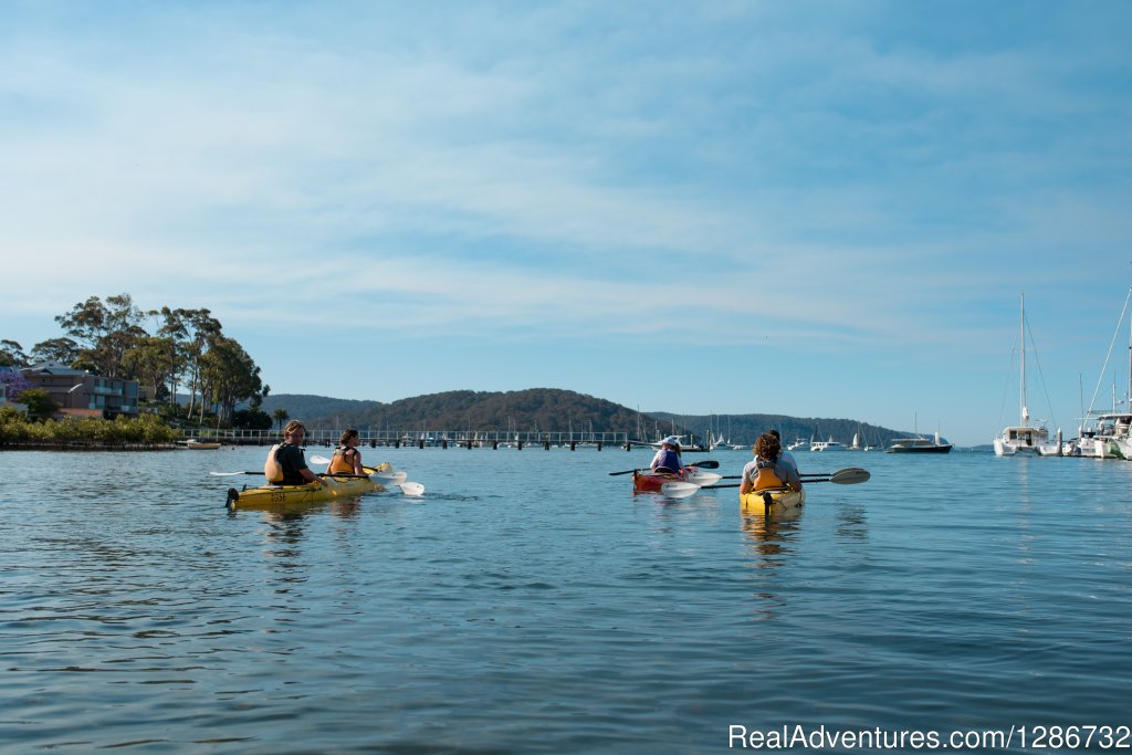 Kayak tours in Sydney's gorgeous Pittwater | Sydney, Australia | Kayaking & Canoeing | Image #1/6 | 