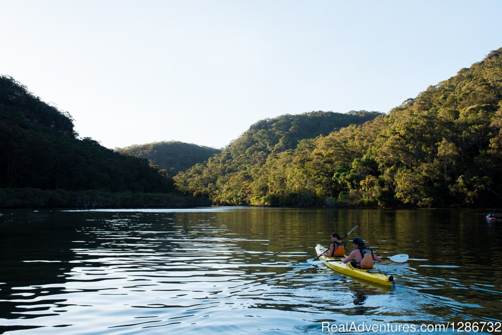 Kayak tours in Sydney's gorgeous Pittwater | Image #3/6 | 