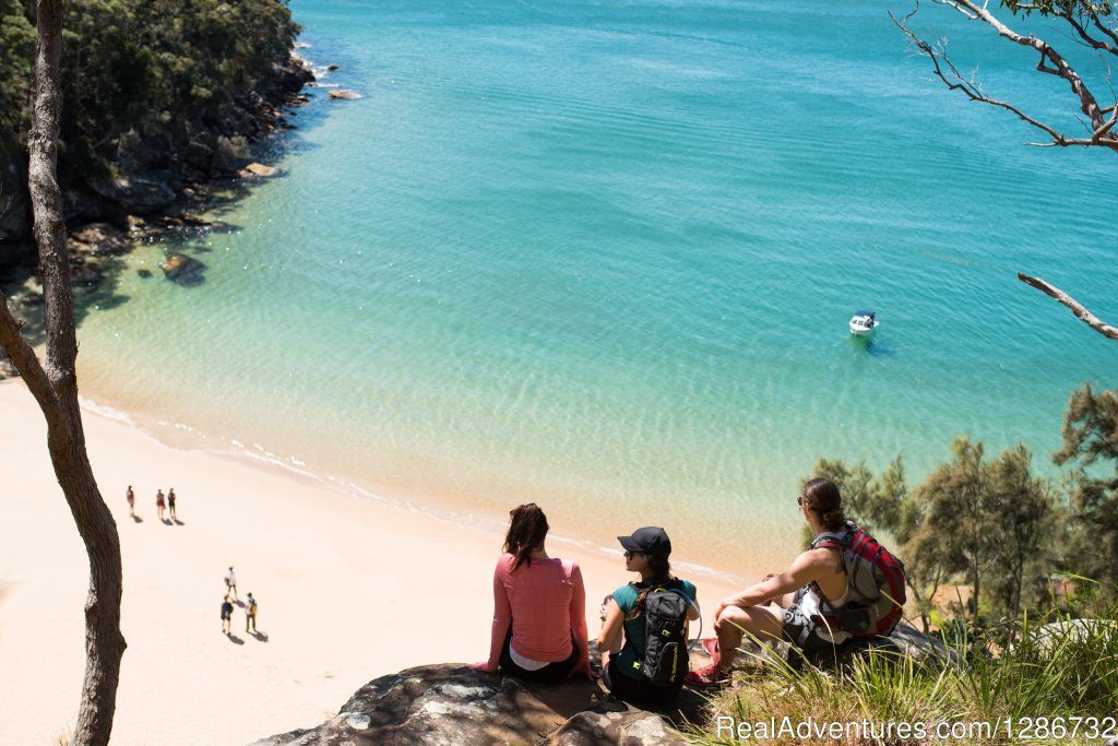 Kayak tours in Sydney's gorgeous Pittwater | Image #6/6 | 