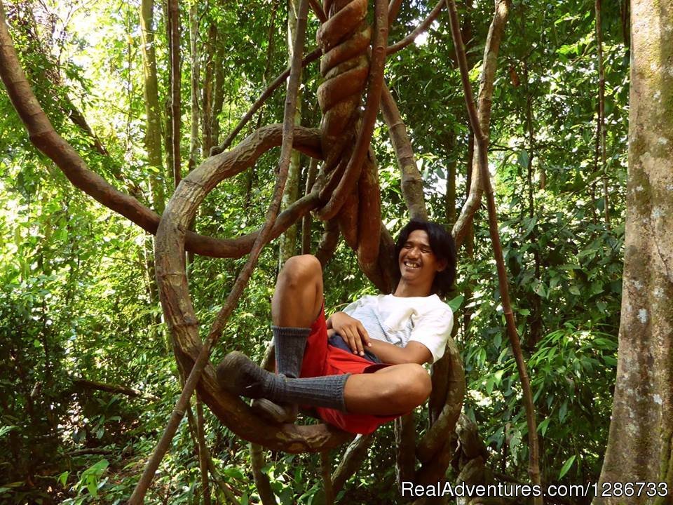 1 Day Jungle Trek At Bukit Lawang | Image #10/13 | 