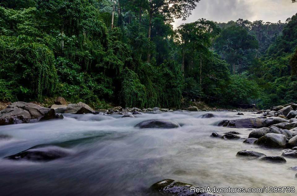 1 Day Jungle Trek At Bukit Lawang | Image #13/13 | 