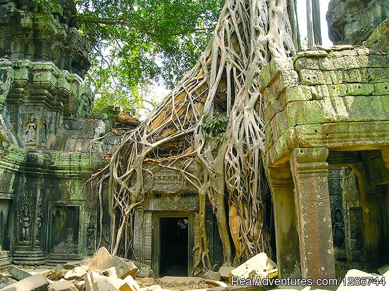 Ta Prohm Temple | Tailor-made Cambodia Tours & Holidays | Image #4/9 | 