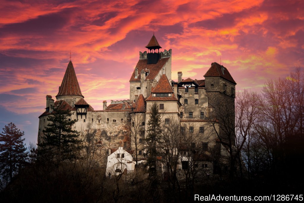 Bran Castle | Visit Transylvania in a unique maner | Image #6/10 | 