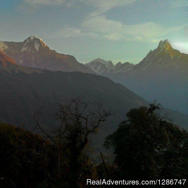 Poon Hill | Annapurna base camp via Poon hill-13 days | Image #3/3 | 