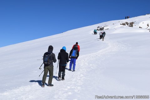7 Days Kilimanjaro Trek -Lemosho Route