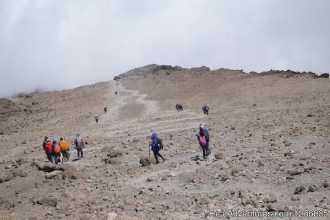 Kili trekking  Karanga trail