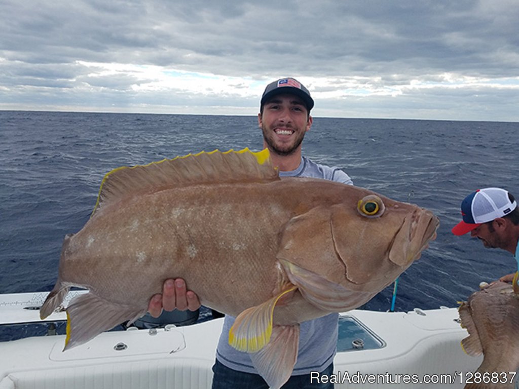 Snowy Grouper | Exciting Fishing Charters With Anglers Envy | Image #3/3 | 