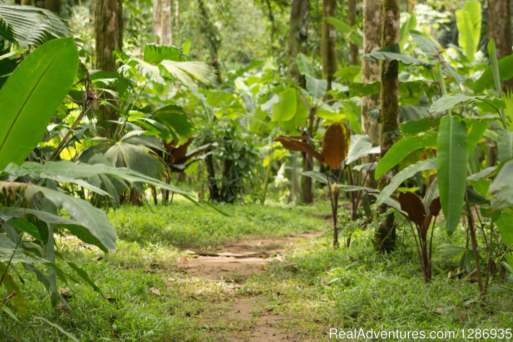 Agujitasfarm Day Tour | NativosCorcovado Tours | Image #2/3 | 