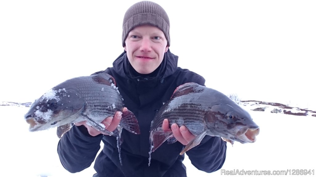 1,5 and 1,3 kg graylings from Spring-Winter 2018 | Best Fishing In Lapland | Inari, Finland | Fishing Trips | Image #1/9 | 