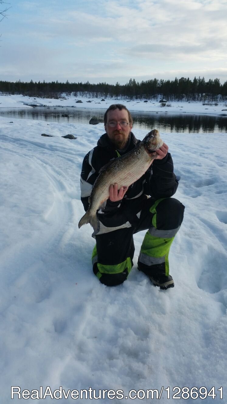 White fish is hard to catch, but delicious when smoked. | Best Fishing In Lapland | Image #7/9 | 