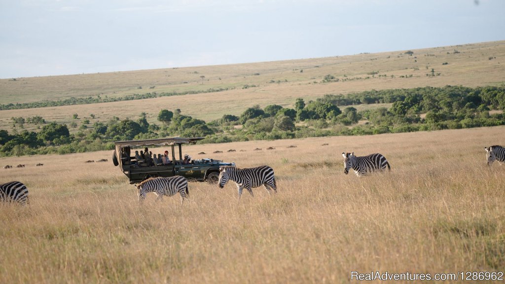 Wildlife Tours in Africa | Image #4/9 | 