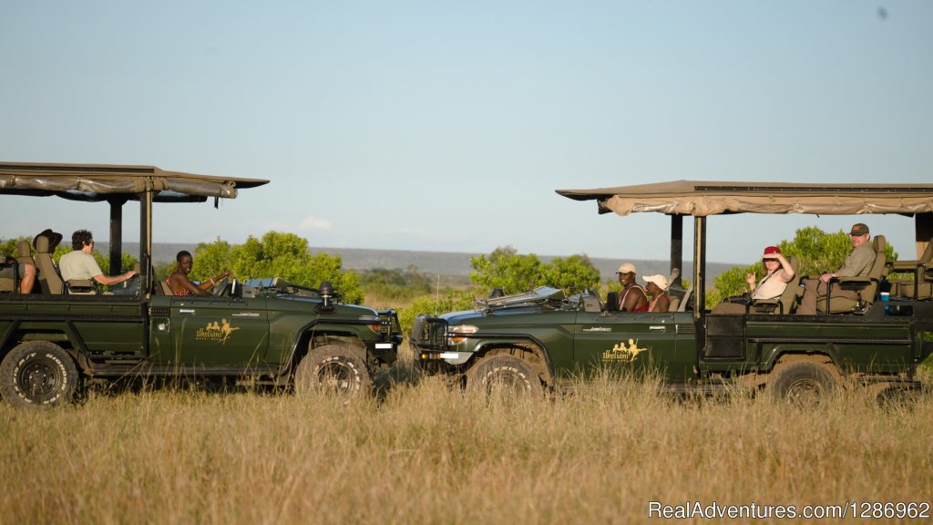 Wildlife Tours in Africa | Image #7/9 | 