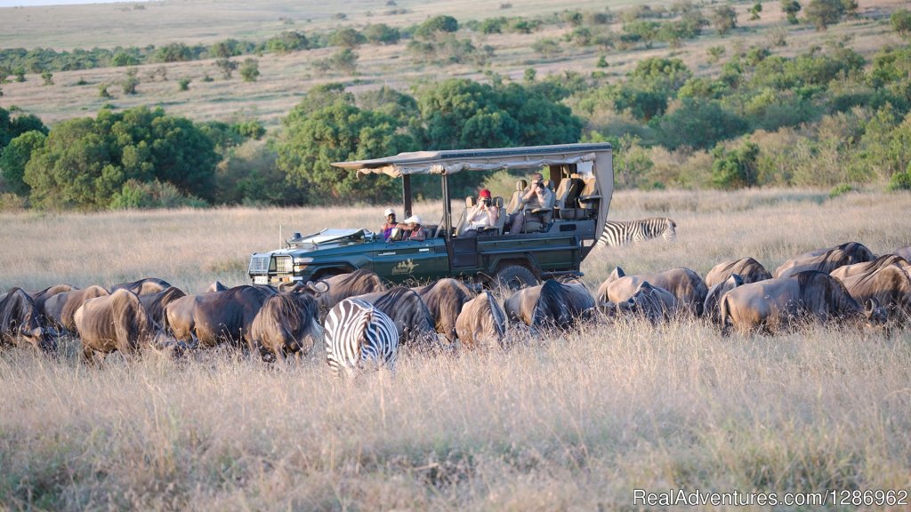 Wildlife Tours in Africa | Image #8/9 | 
